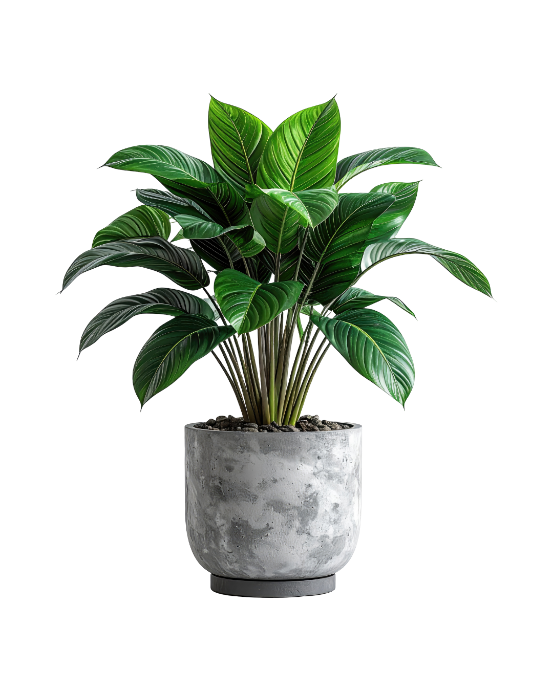 Green Modern Plant Store Logo (16)